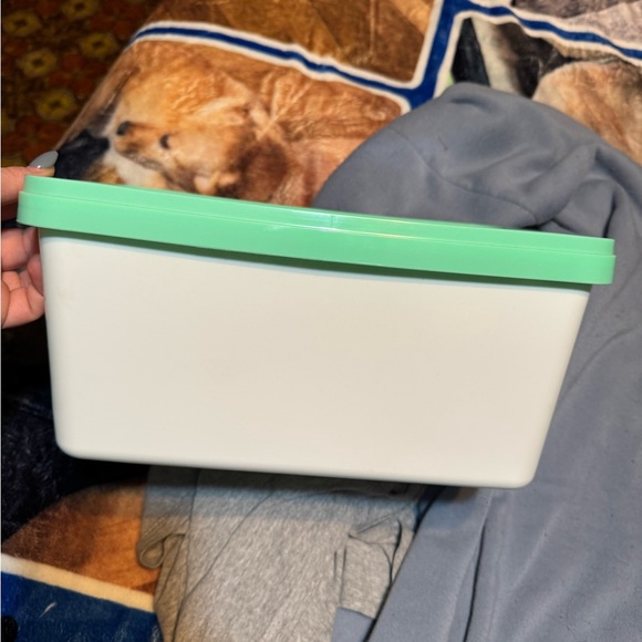 Plastic Storage Container - Picture 2 of 3